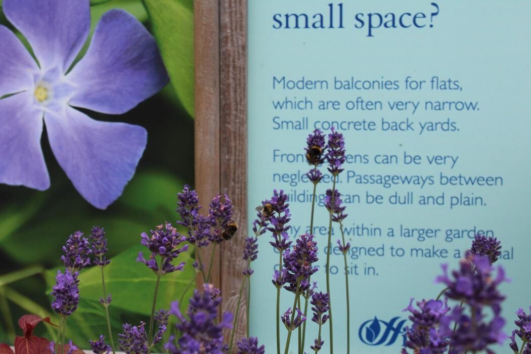 Images Hillier Garden Centre Winchester