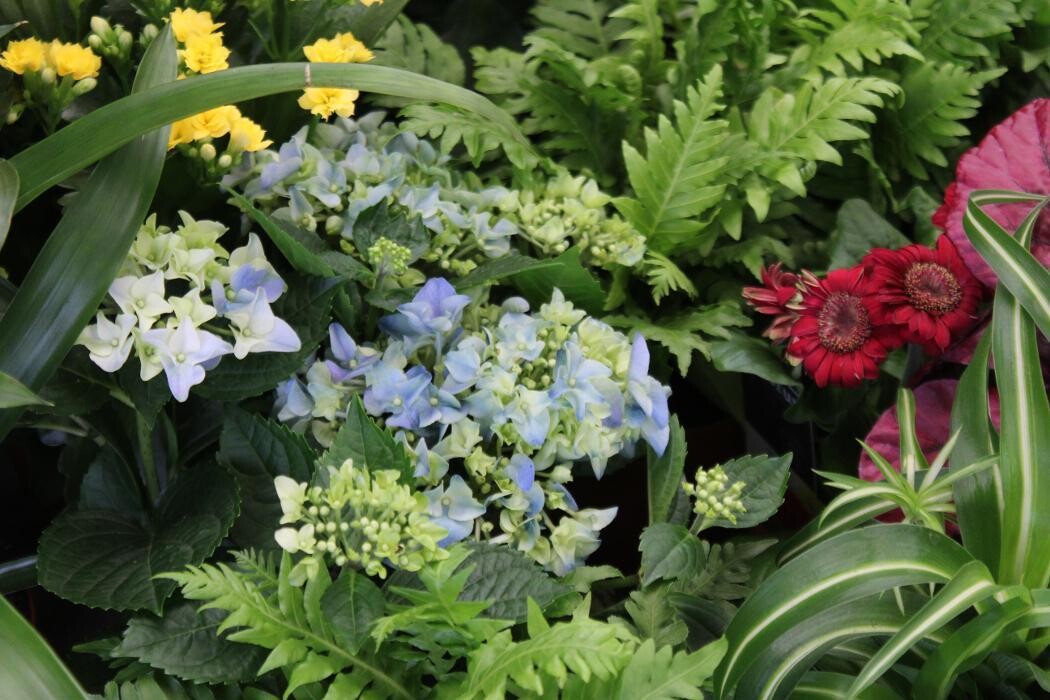 Images Hillier Garden Centre Winchester