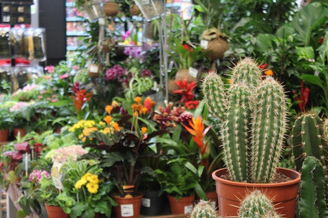 Images Hillier Garden Centre Winchester
