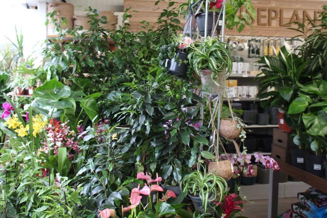 Images Hillier Garden Centre Winchester