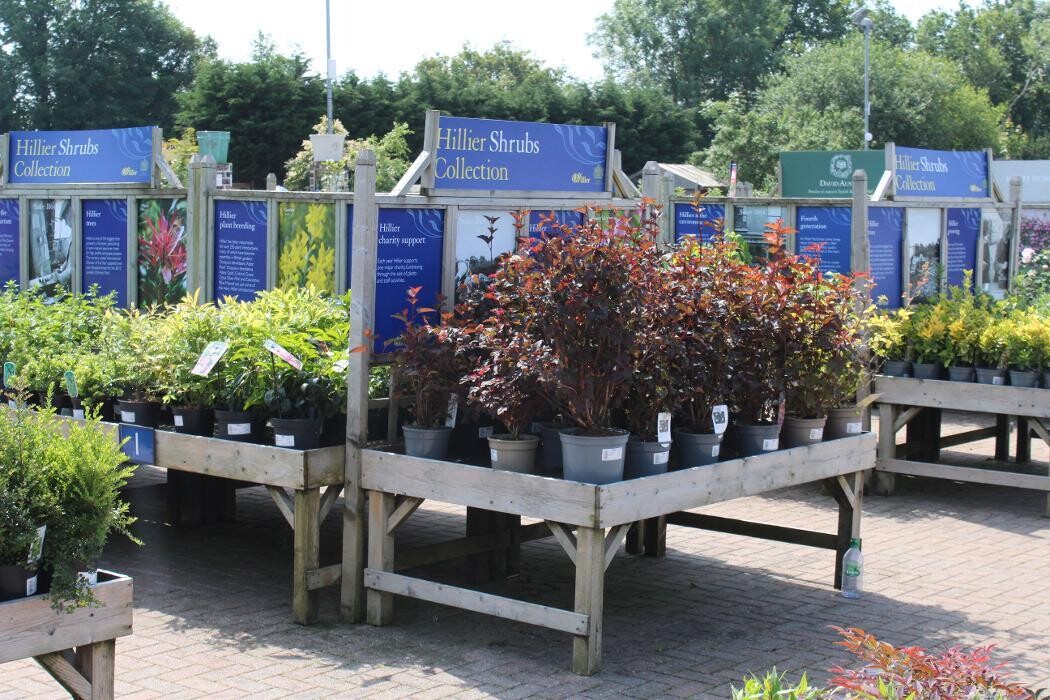 Images Hillier Garden Centre Horsham