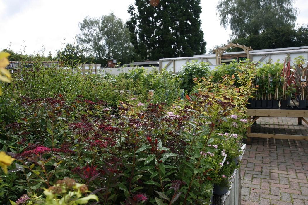 Images Hillier Garden Centre Hemel Hempstead