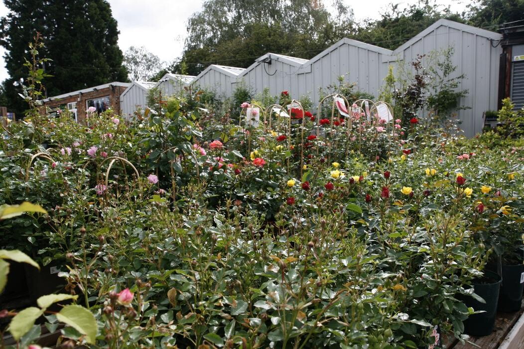 Images Hillier Garden Centre Hemel Hempstead