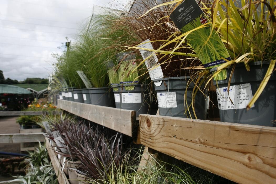 Images Hillier Garden Centre Hemel Hempstead