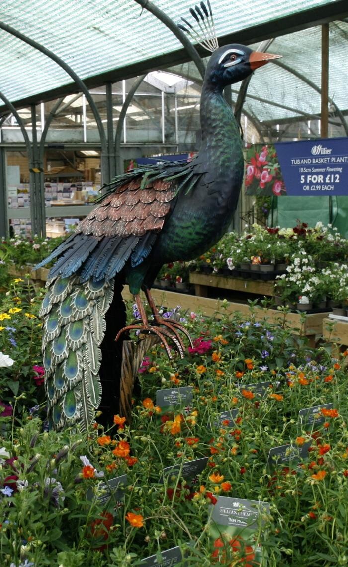 Images Hillier Garden Centre Hemel Hempstead