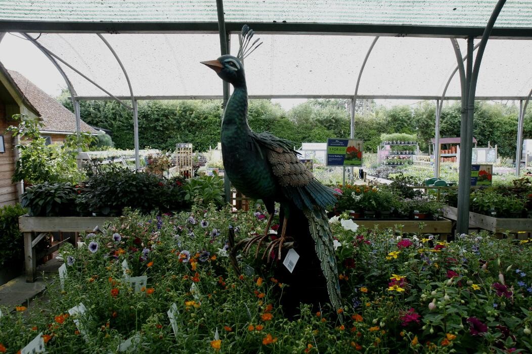 Images Hillier Garden Centre Hemel Hempstead