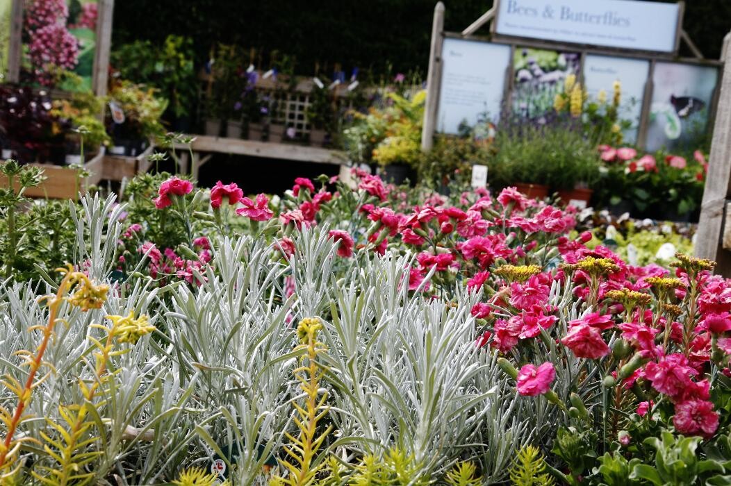 Images Hillier Garden Centre Hemel Hempstead