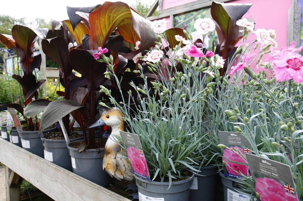 Images Hillier Garden Centre Hemel Hempstead