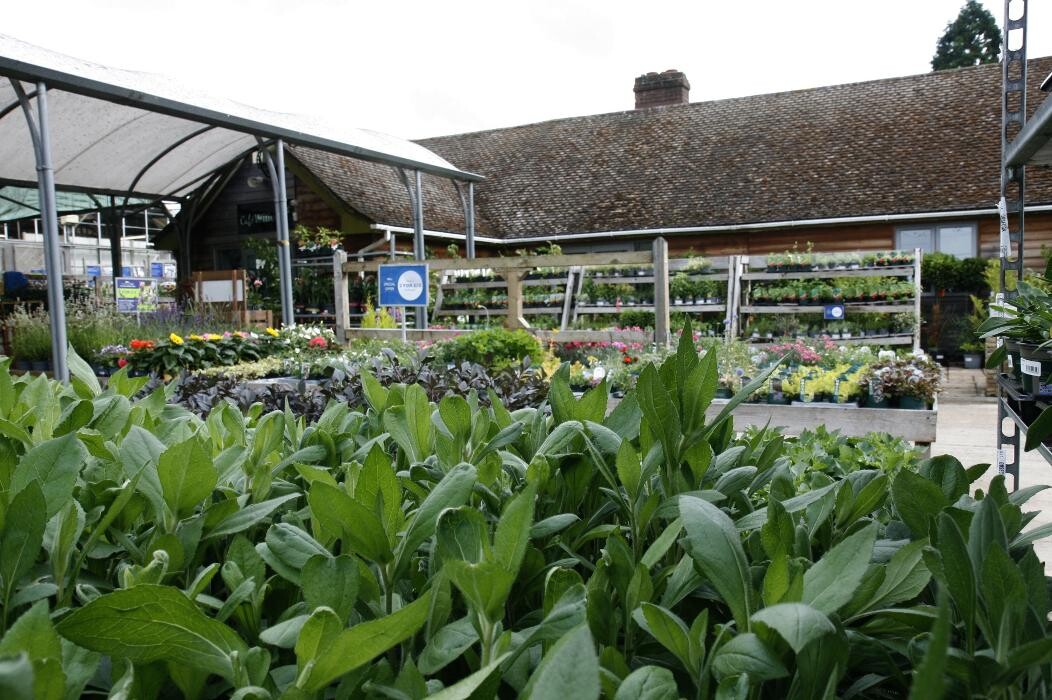 Images Hillier Garden Centre Hemel Hempstead