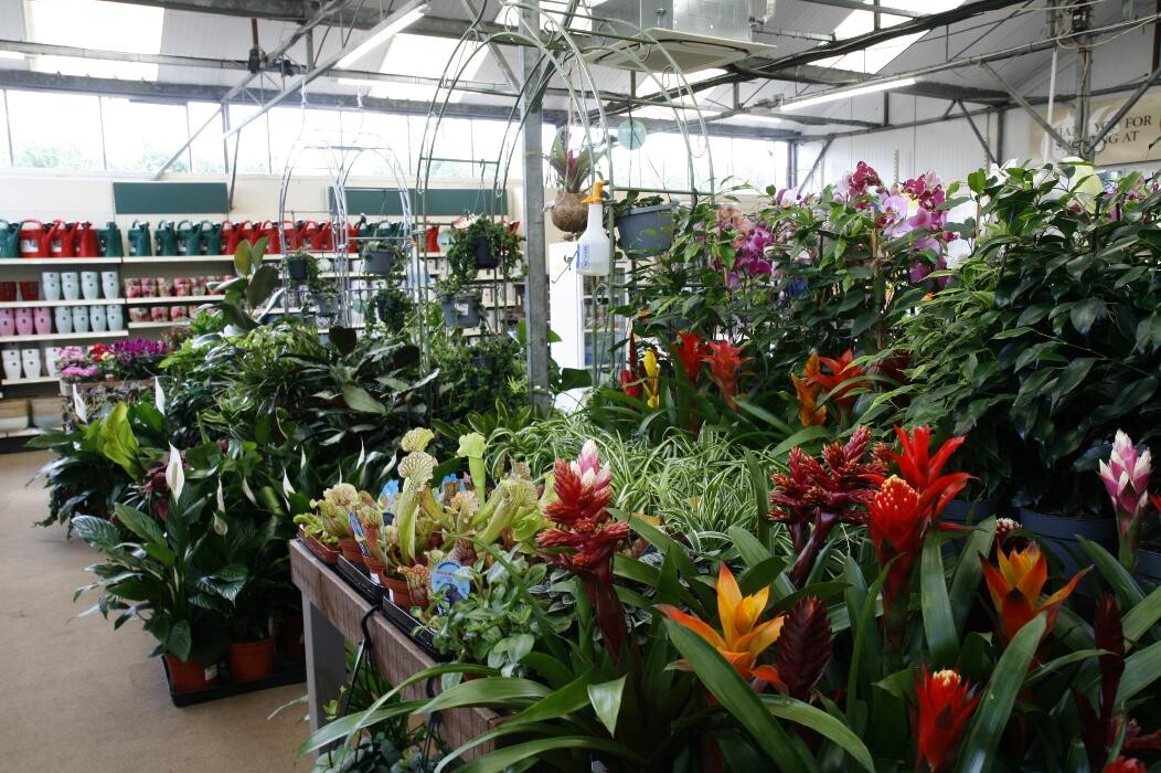 Images Hillier Garden Centre Hemel Hempstead