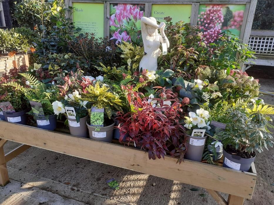Images Hillier Garden Centre Hemel Hempstead