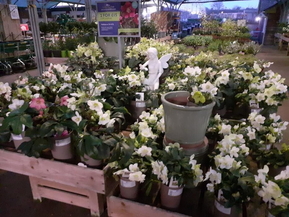 Images Hillier Garden Centre Hemel Hempstead