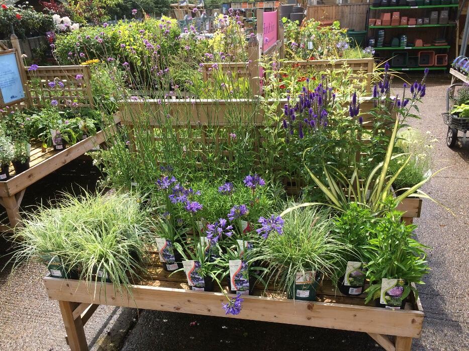 Images Hillier Garden Centre Hemel Hempstead