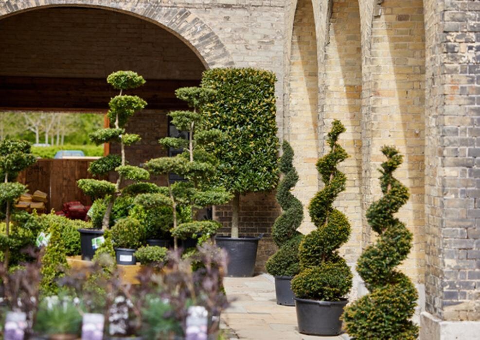 Images Hillier Garden Centre Syon Park