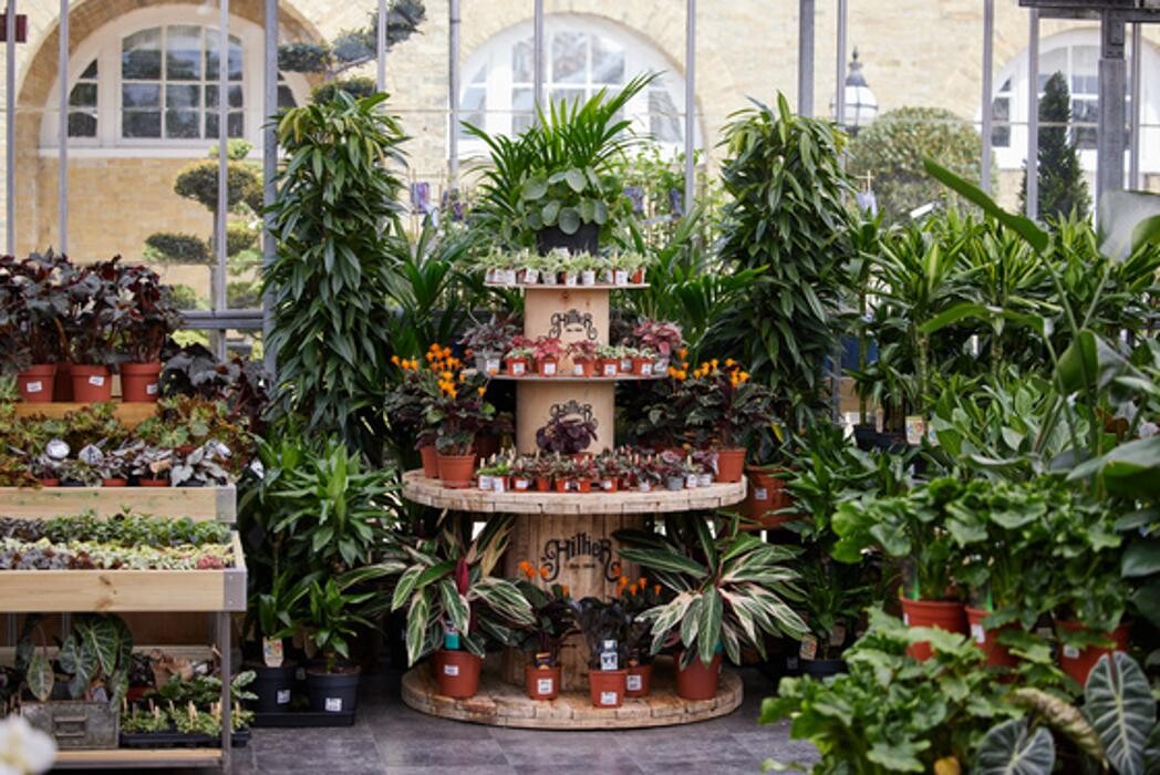 Images Hillier Garden Centre Syon Park