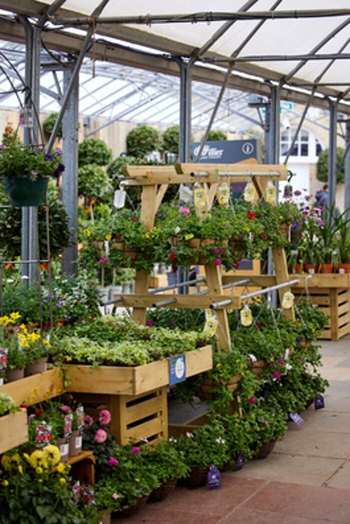 Images Hillier Garden Centre Syon Park