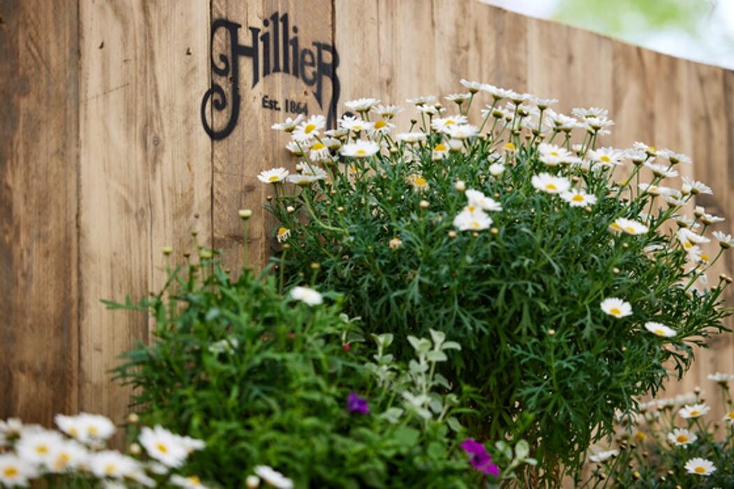 Images Hillier Garden Centre Syon Park