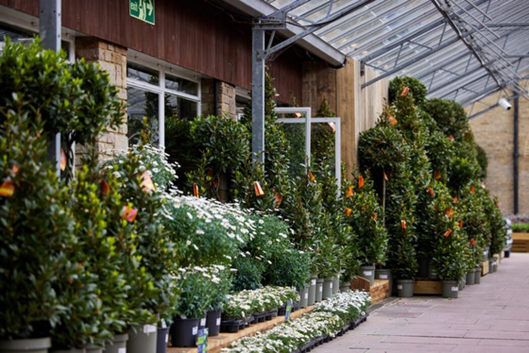 Images Hillier Garden Centre Syon Park