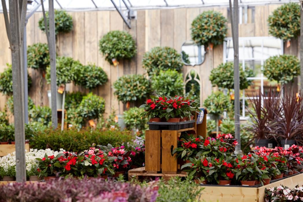 Images Hillier Garden Centre Syon Park