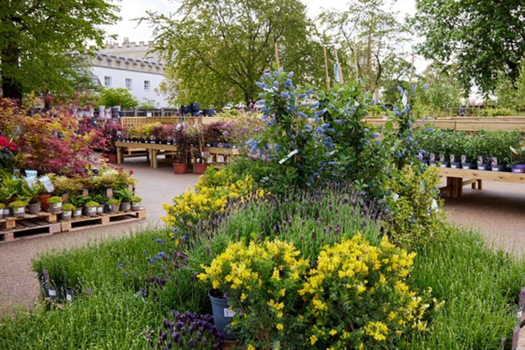 Images Hillier Garden Centre Syon Park