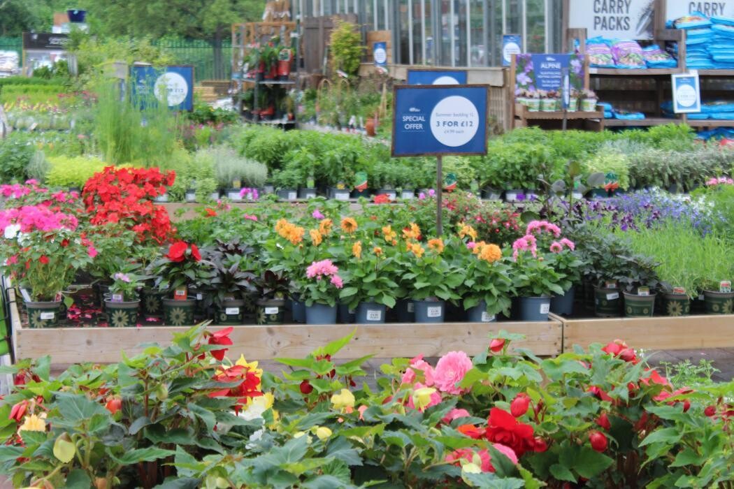 Images Hillier Garden Centre Liss