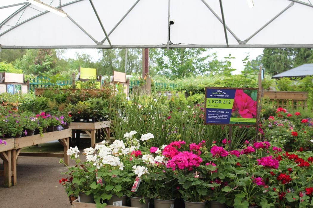 Images Hillier Garden Centre Liss