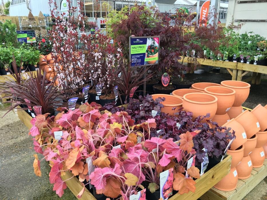 Images Hillier Garden Centre Liss