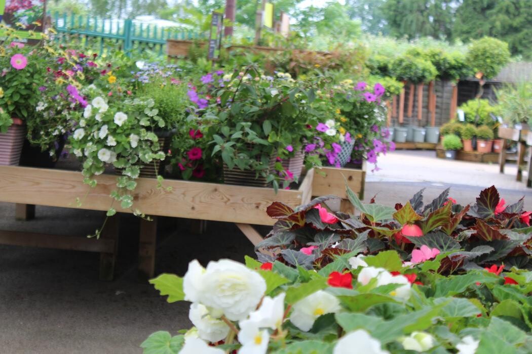 Images Hillier Garden Centre Liss