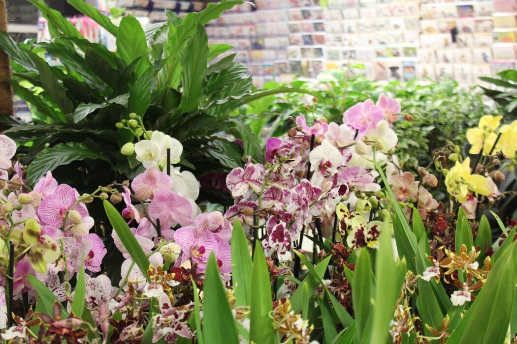 Images Hillier Garden Centre Liss