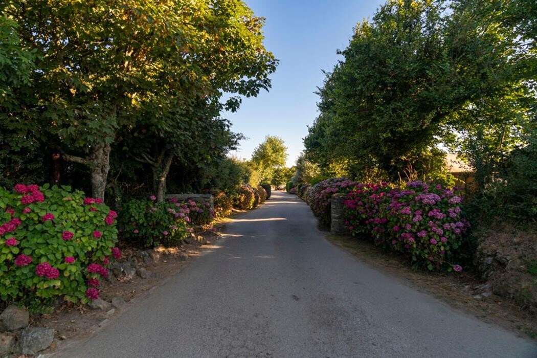 Images Trevella Holiday Park
