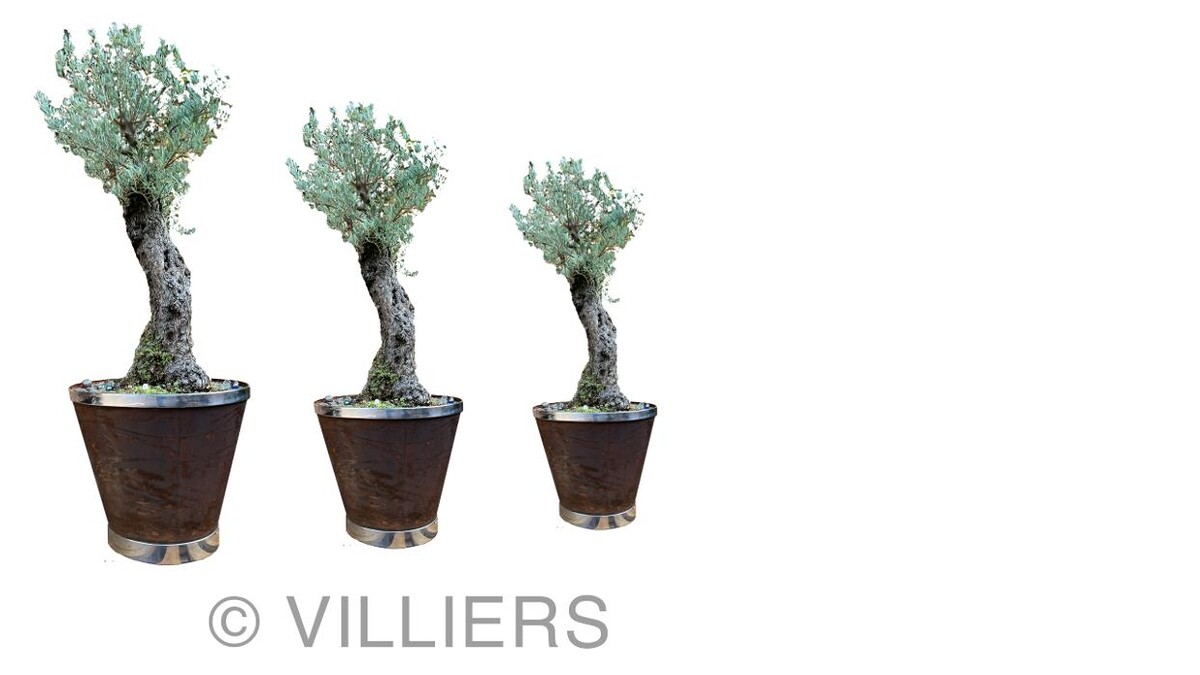 Images Villiers Furniture ltd