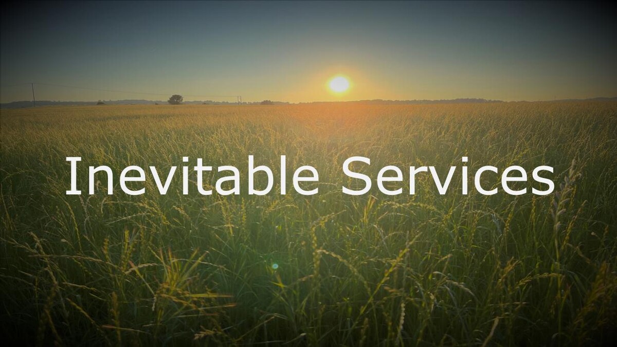 Inevitable Services Logo