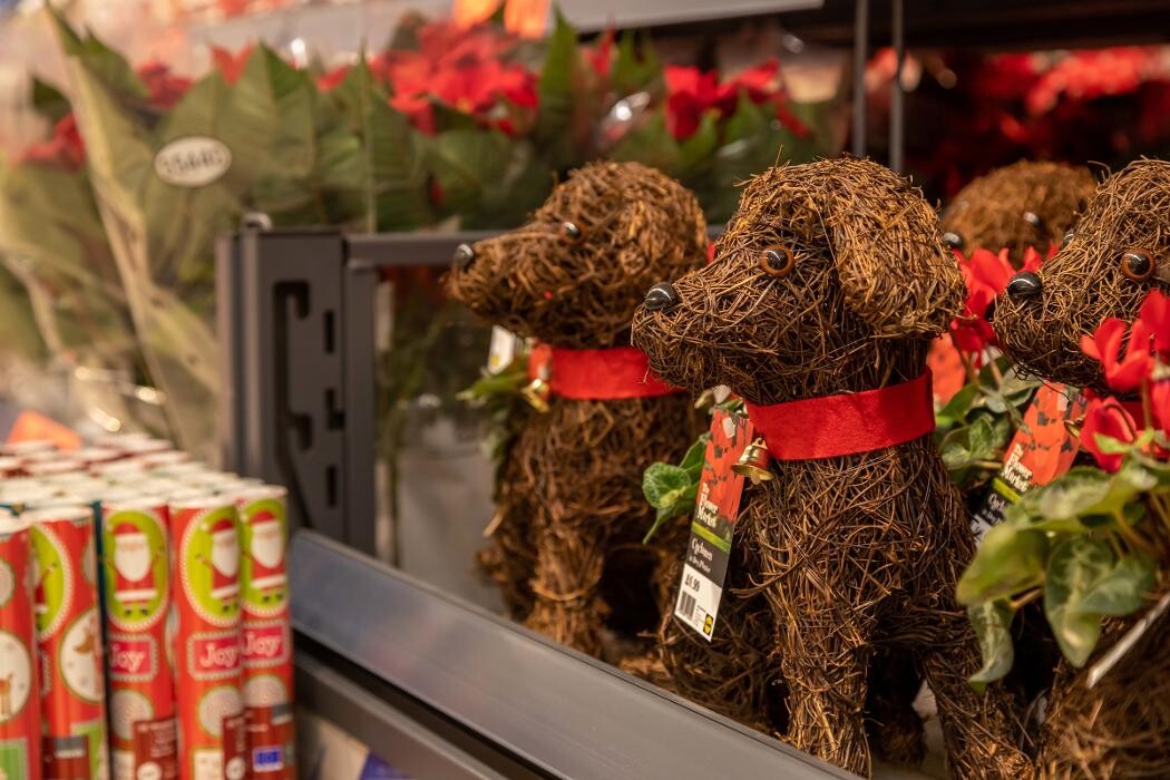 Images Lidl