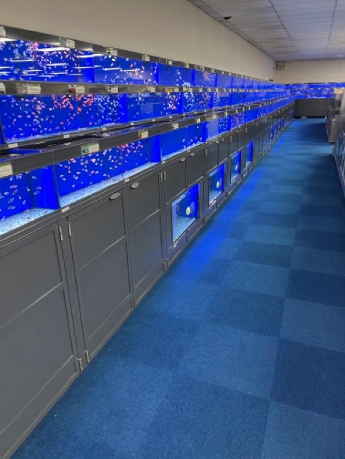 Images Maidenhead Aquatics Sheffield