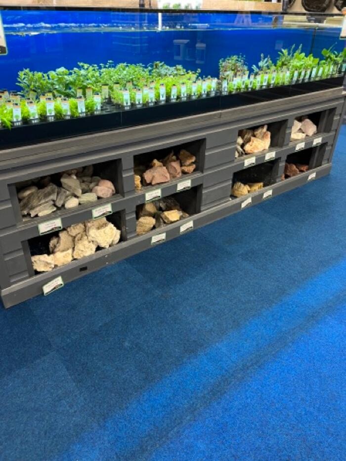 Images Maidenhead Aquatics Sheffield