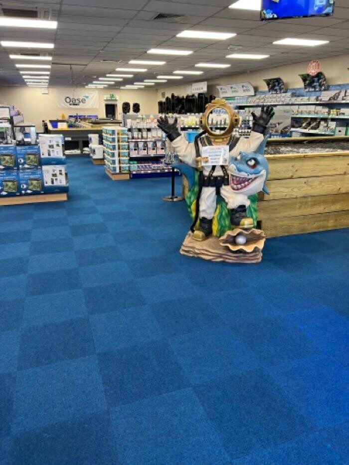 Images Maidenhead Aquatics Sheffield