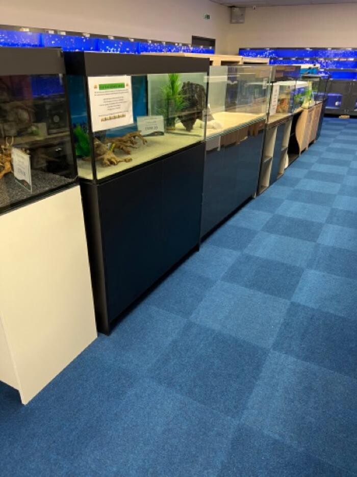 Images Maidenhead Aquatics Sheffield