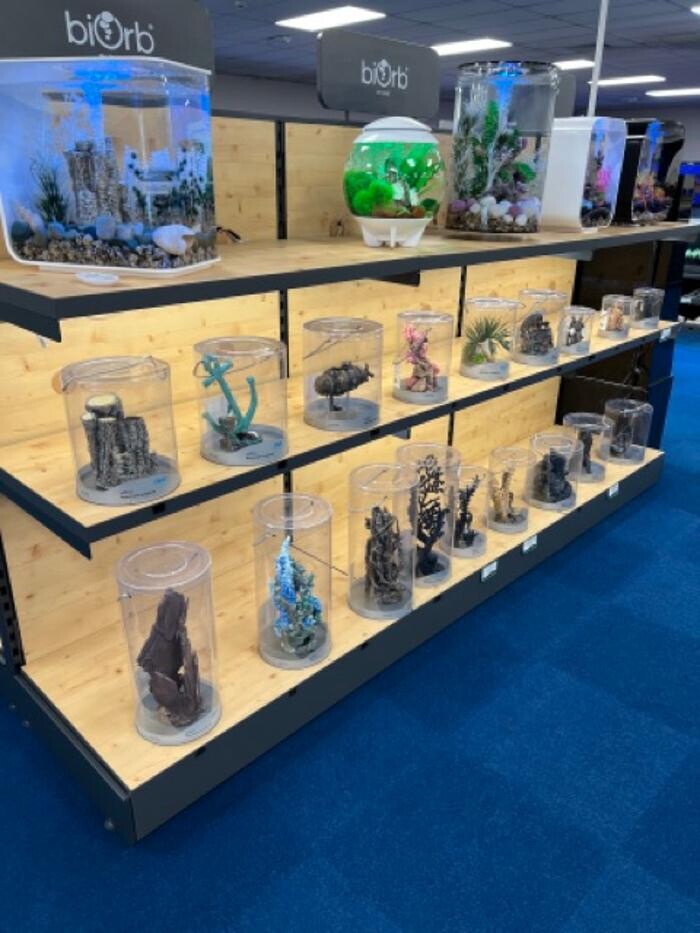 Images Maidenhead Aquatics Sheffield