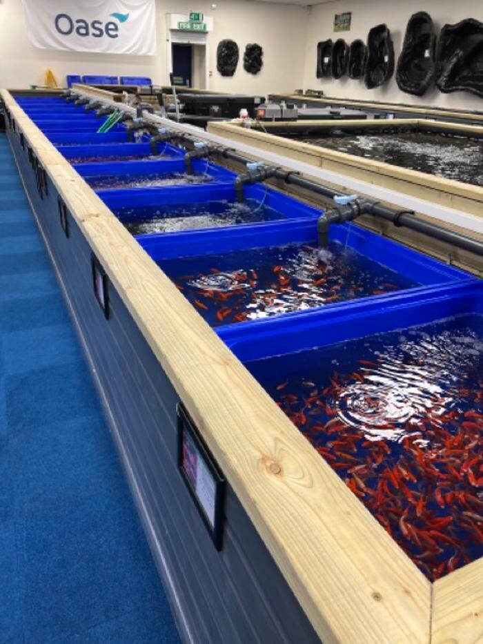 Images Maidenhead Aquatics Sheffield