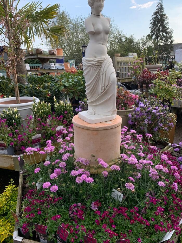 Images Hillier Garden Centre Ruislip