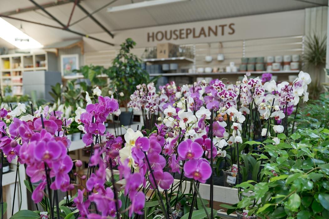 Images Hillier Garden Centre Ruislip