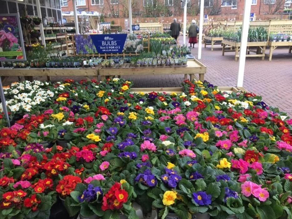 Images Hillier Garden Centre Ruislip