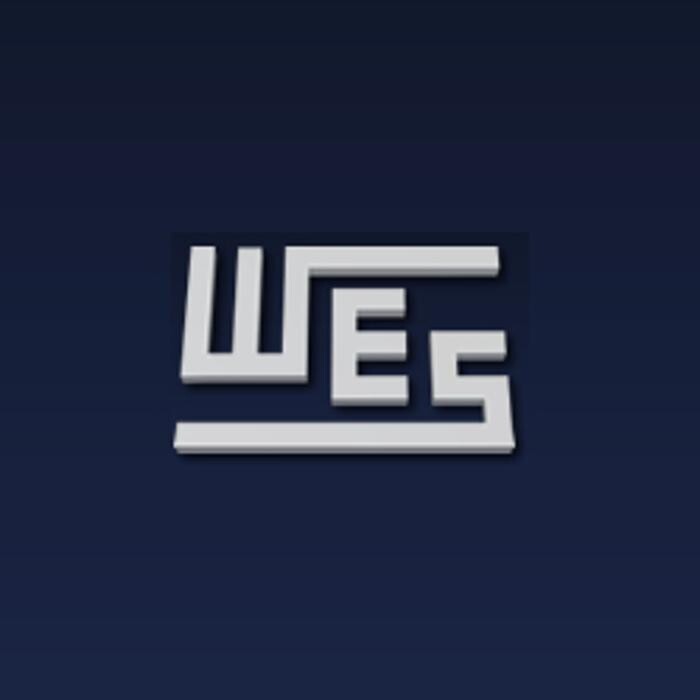 Watts Engineering Services Ltd Logo