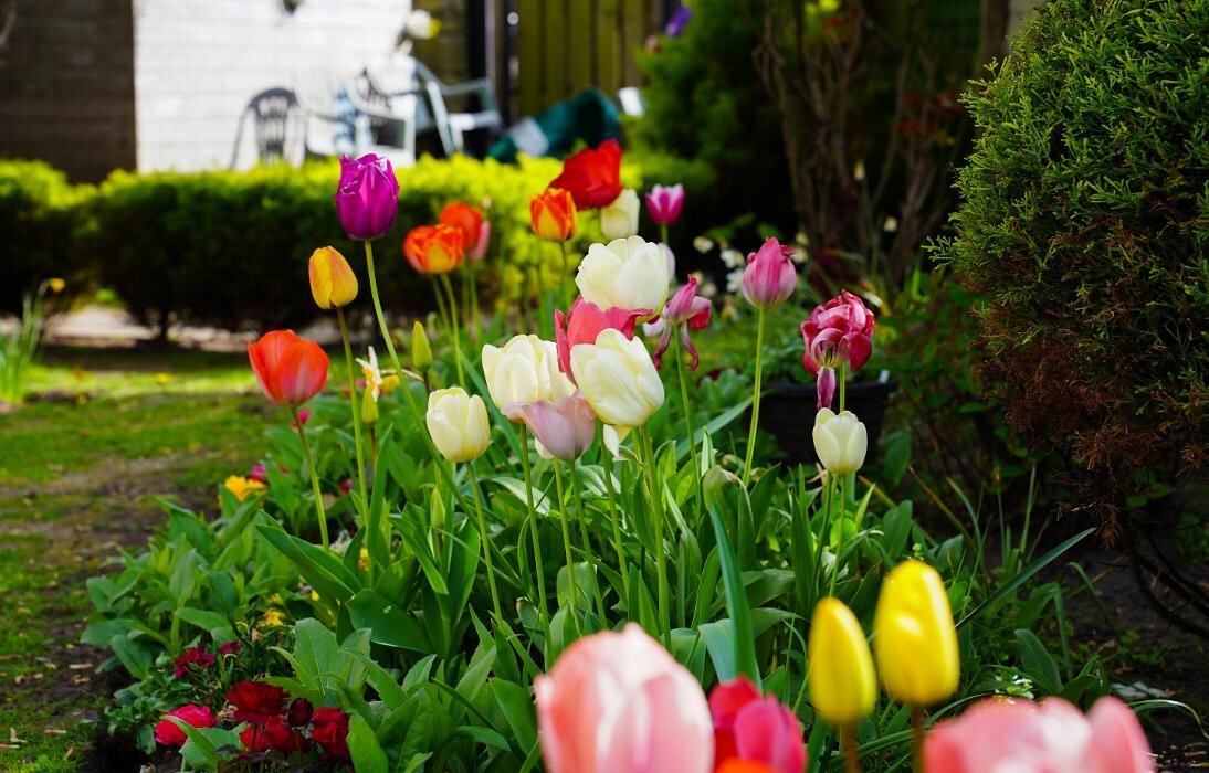 Images Glenfairn House Care Home - Sanctuary Care
