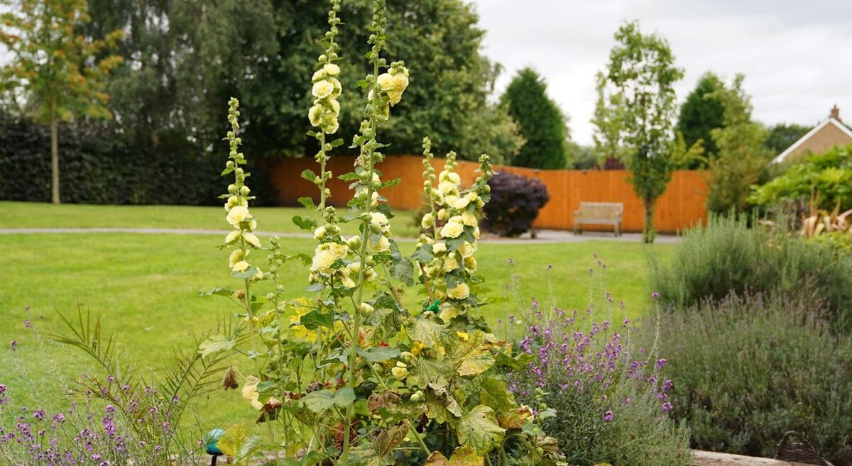 Images Briarscroft Residential Care Home - Sanctuary Care