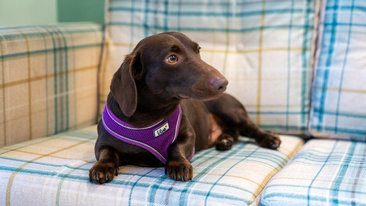 Images Briarscroft Residential Care Home - Sanctuary Care