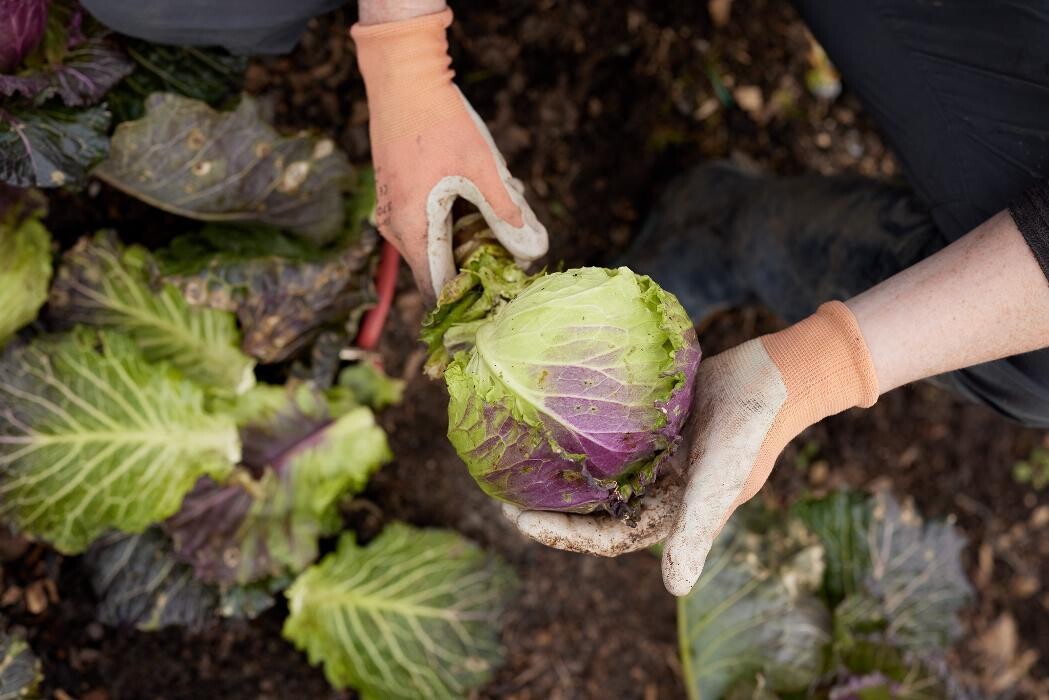 Images Bishopstrow Hotel & Spa