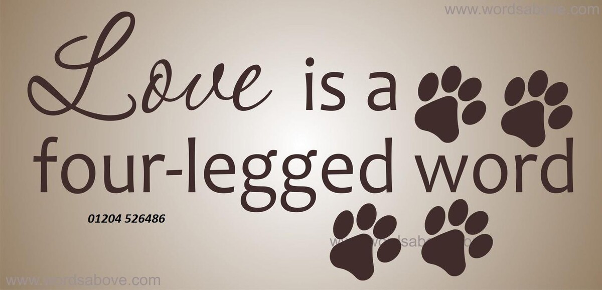 Images The Destitute Animal Shelter