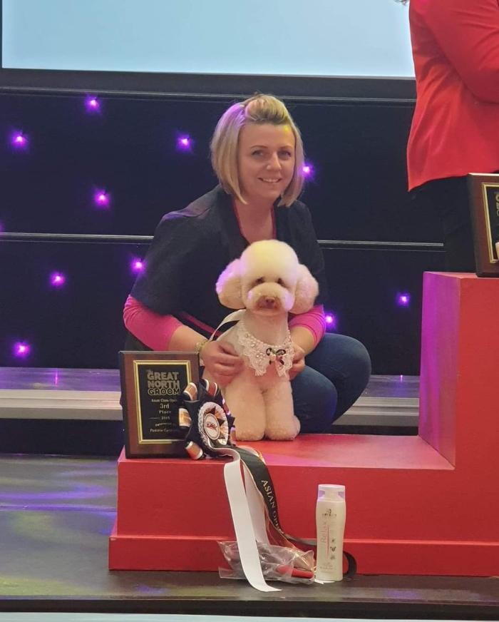 Images Groomingtails Groom Scool