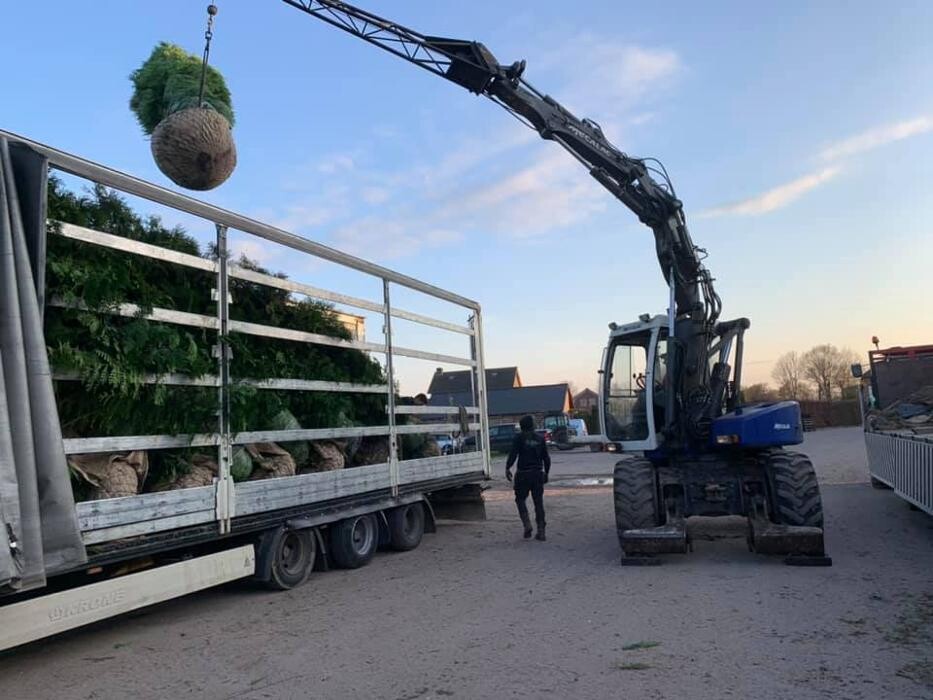 Images Three Counties International Transport Ltd